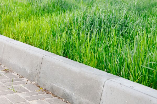 Curb Replacement